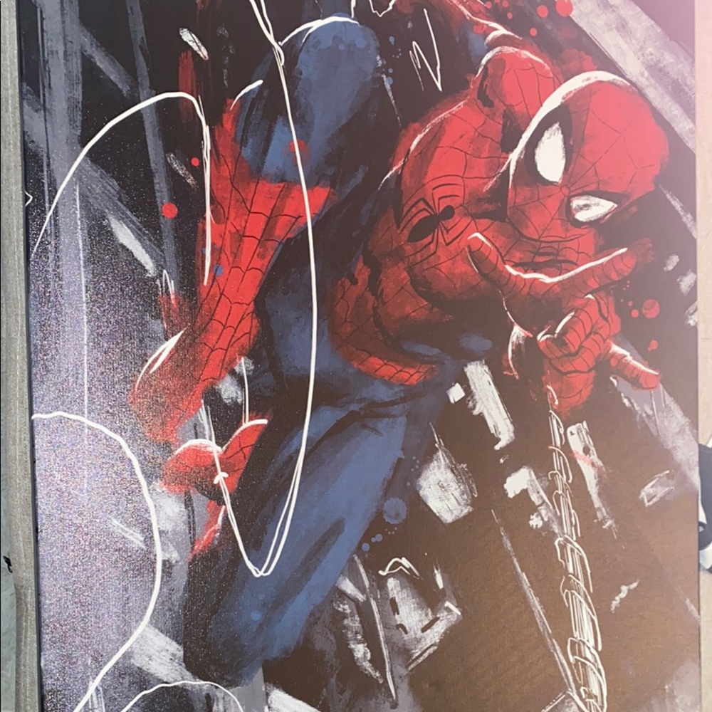 Spiderman Red and Blue Art  Wall Decor